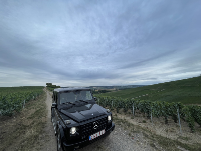 Sint-Martinus den XIIde - Grootkamp JIN